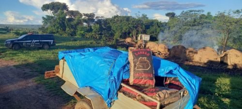 Carvoaria ilegal em Goiás