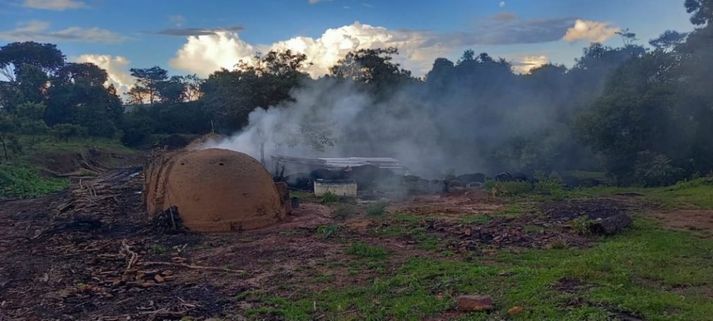 Carvoaria ilegal em Goiás