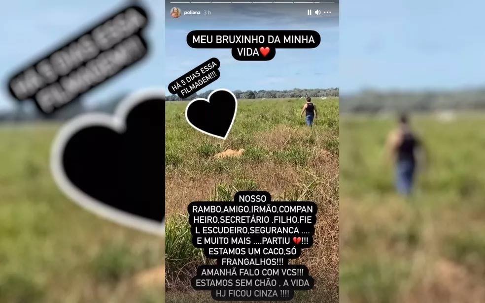 Poliana Rocha sobre Passim