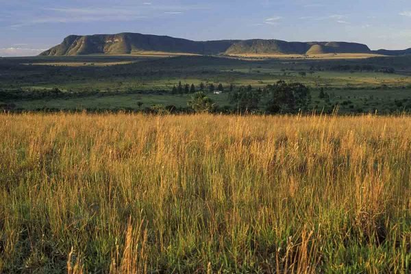 Chapada dos Veadeiros National Park ( Parque Nacional da