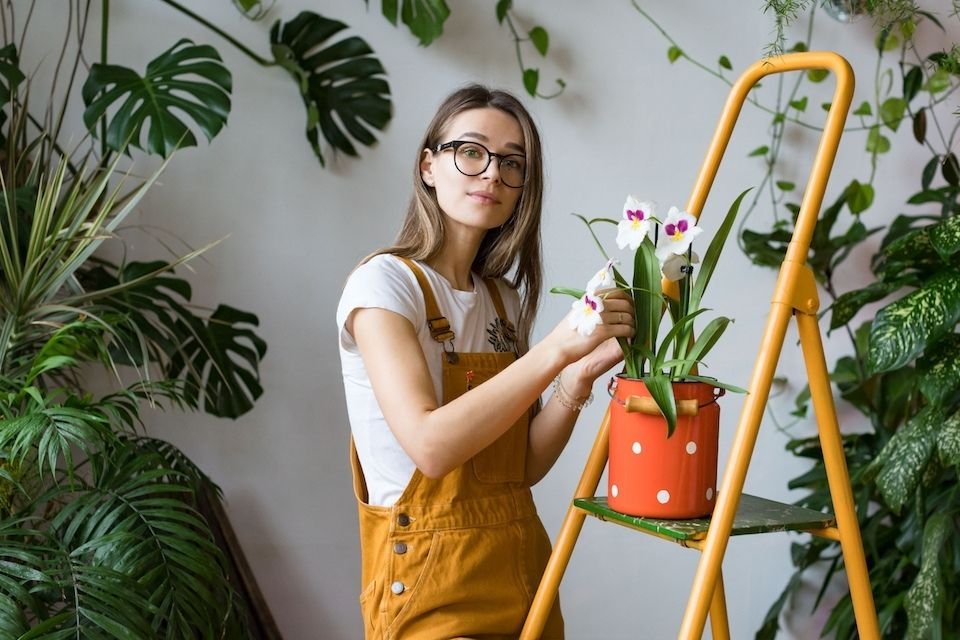 plantas