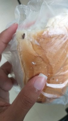 mosca em pão