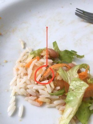 larva em arroz