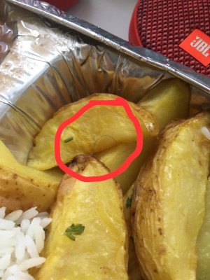 larva em comida