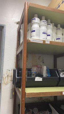 infiltração nas paredes atrás de estantes com remédios