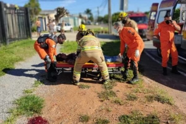 Omissão A Cada 24h Uma Vítima De Atropelamento Não é Socorrida No Df Metrópoles