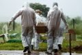 coveiros de cemitério de goiânia usam roupas especiais para enterrar vítimas da covid-19 em goiás