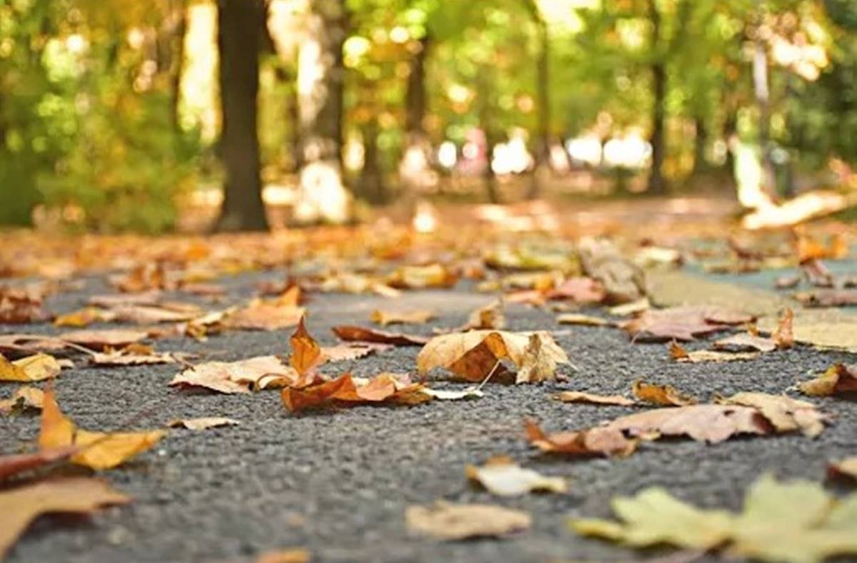 Equinócio de outono saiba o que é e quando começa Metrópoles