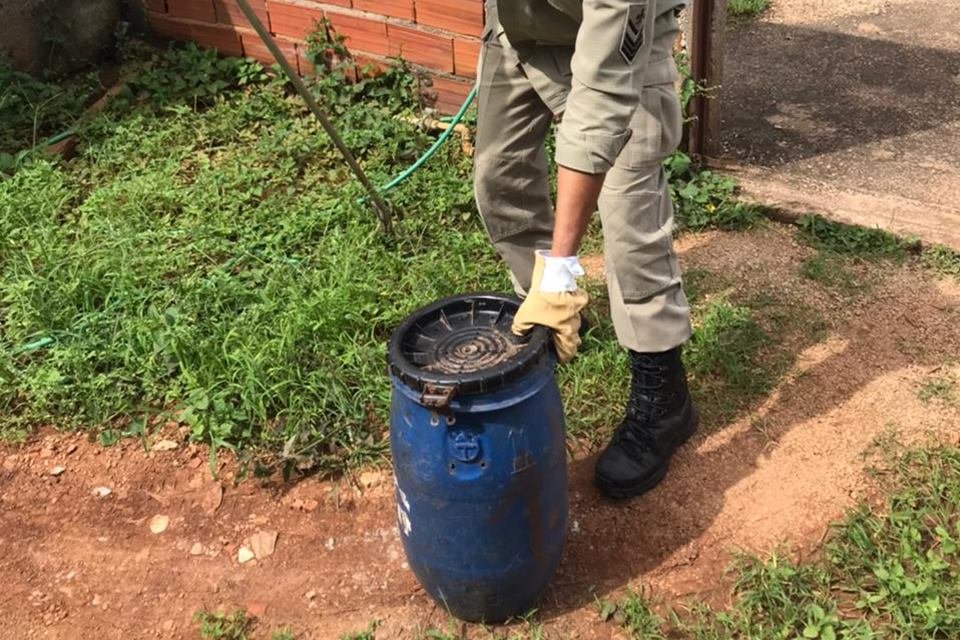 bombeiro captura jiboia em lote baldio de goianira, goiás