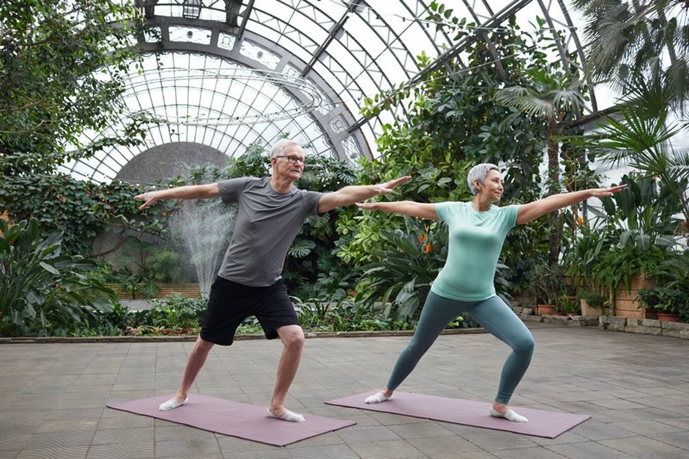 idosos exercício físico yoga