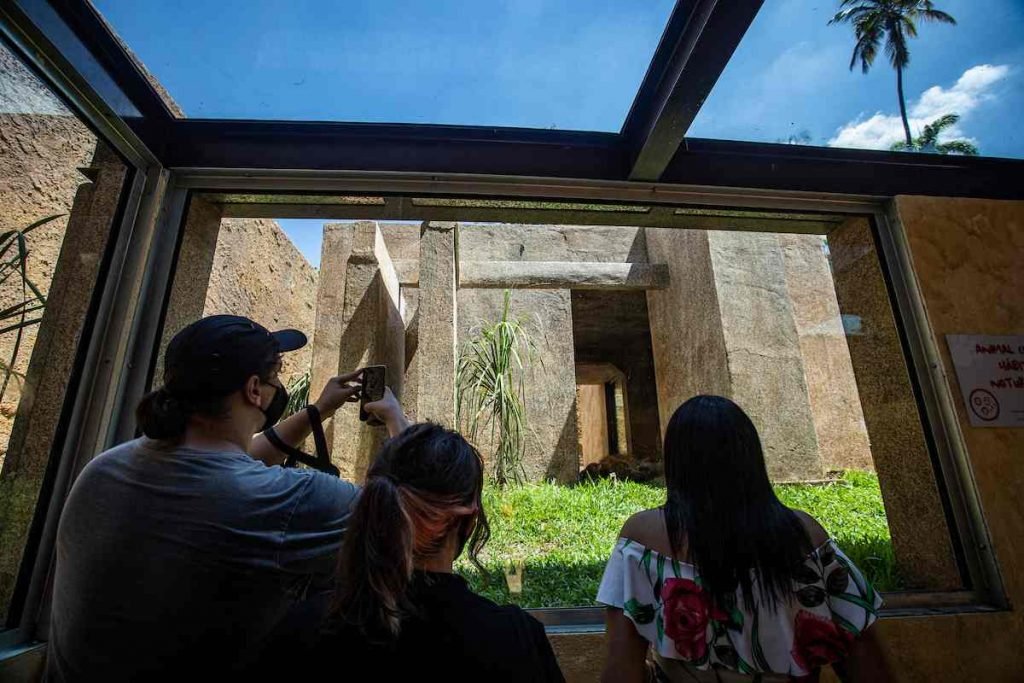 Metrópoles acompanhou o primeiro dia de visitação ao BioParque do Rio