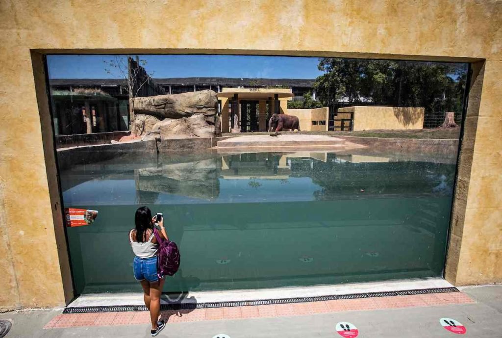Metrópoles acompanhou o primeiro dia de visitação ao BioParque do Rio