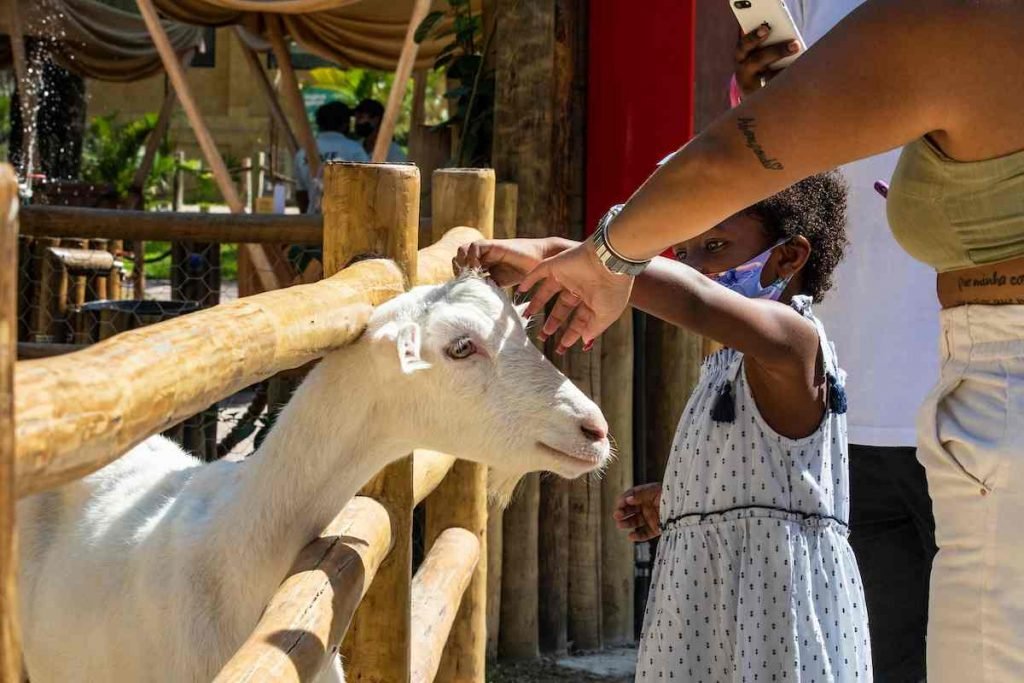 Metrópoles acompanhou o primeiro dia de visitação ao BioParque do Rio