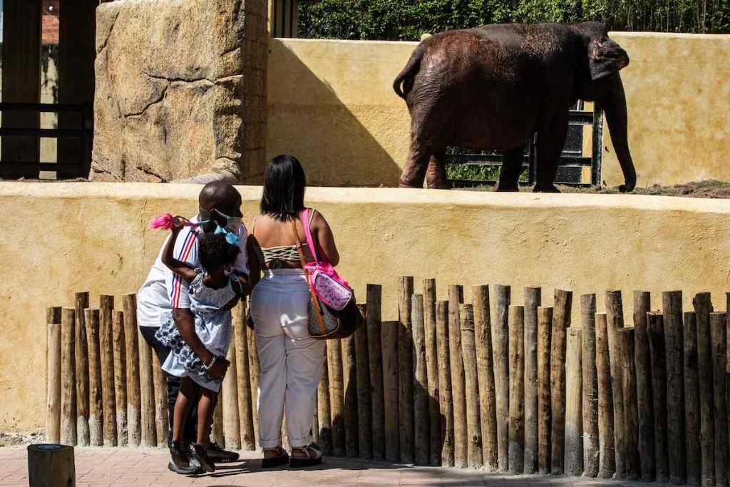 Metrópoles acompanhou o primeiro dia de visitação ao BioParque do Rio