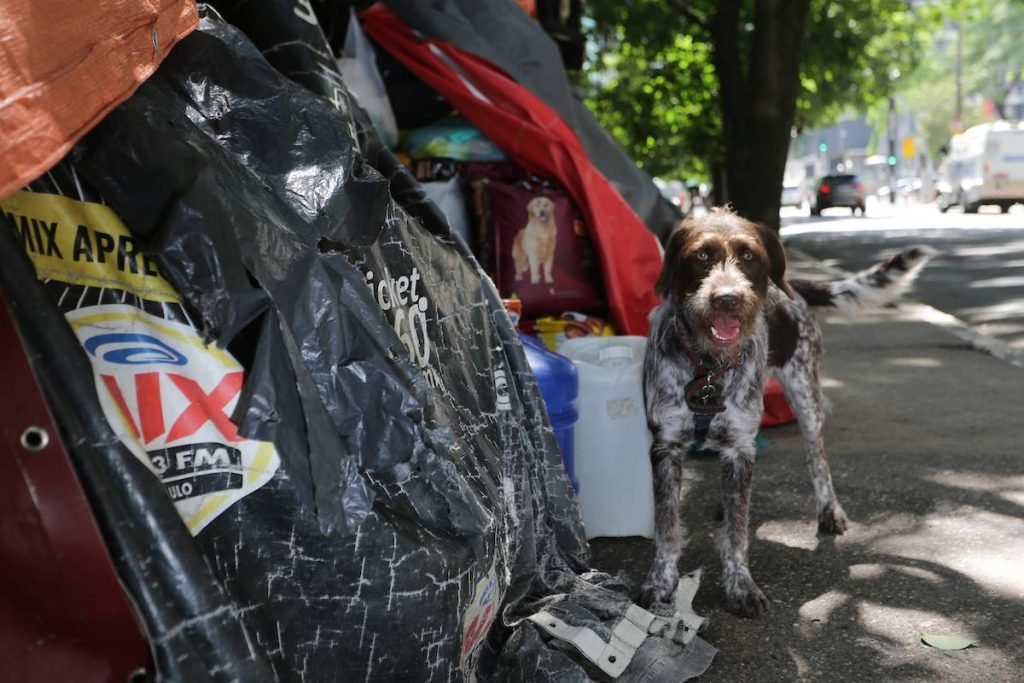 Mulher em situação de rua na capital paulista