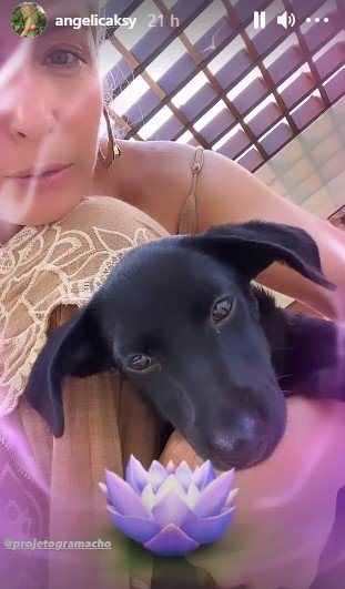 Nova cachorrinha de Angélica