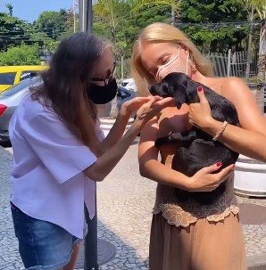 Nova cachorrinha de Angélica