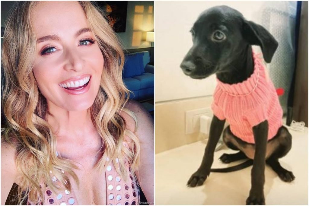 Nova cachorrinha de Angélica