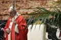 Papa Francisco preside a Missa de Ramos, no Vaticano