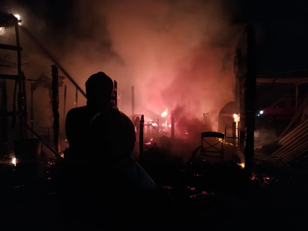 Bombeiros salvam dois cachorros em incêndio