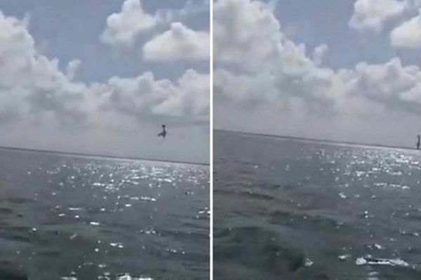 Avião cai no mar