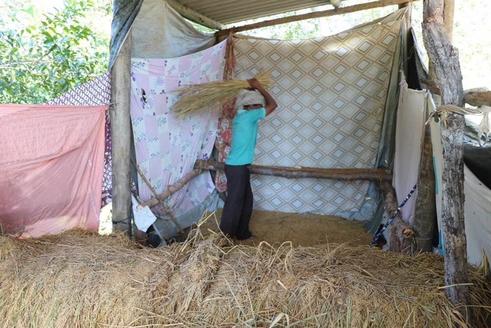 goias kalungas distribuição de alimentos