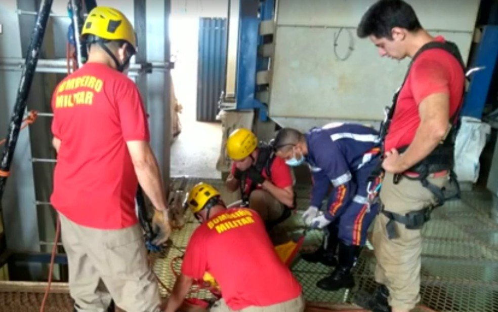 goias corpo de bombeiros regasta corpos de irmãos que morreram em secadora de graos