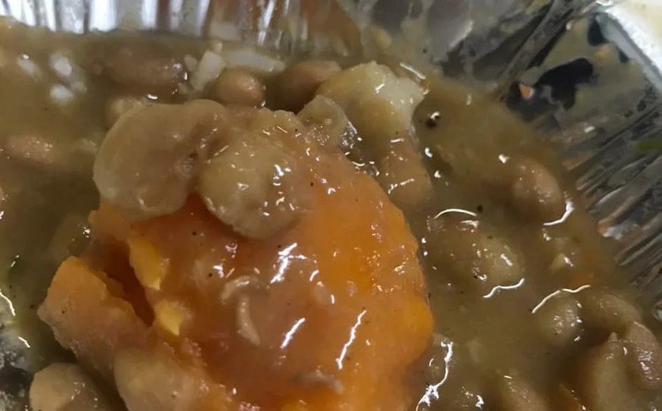 Guardas civis municipais encontram larvas e baratas em marmitas distribuídas por empresa contratada pela prefeitura de Teresina