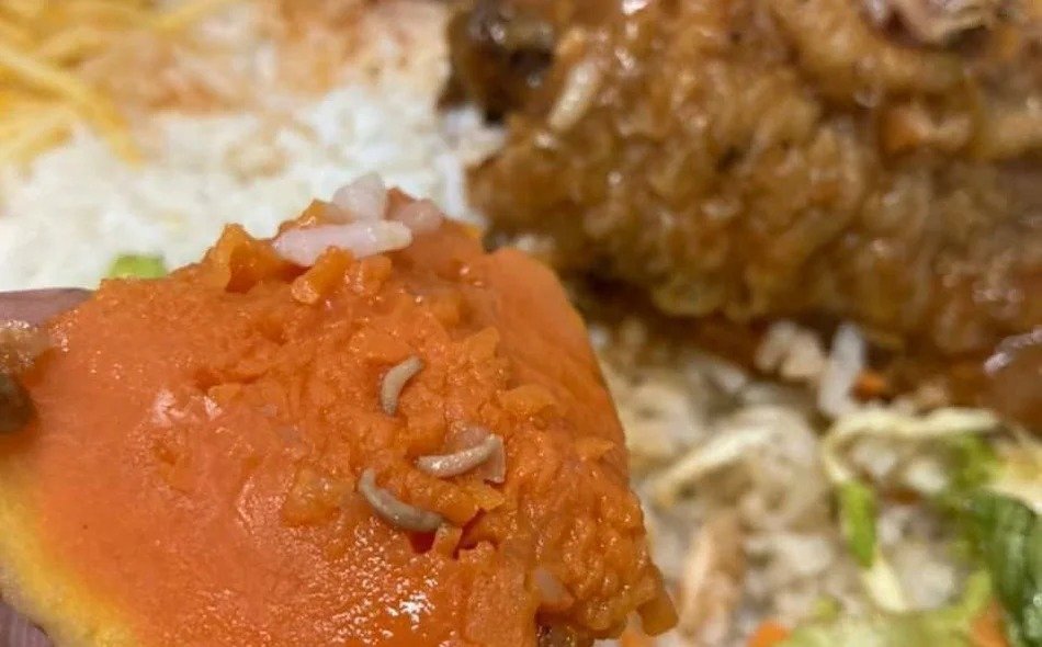 Guardas civis municipais encontram larvas e baratas em marmitas distribuídas por empresa contratada pela prefeitura de Teresina
