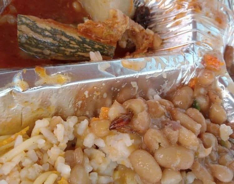 Guardas civis municipais encontram larvas e baratas em marmitas distribuídas por empresa contratada pela prefeitura de Teresina