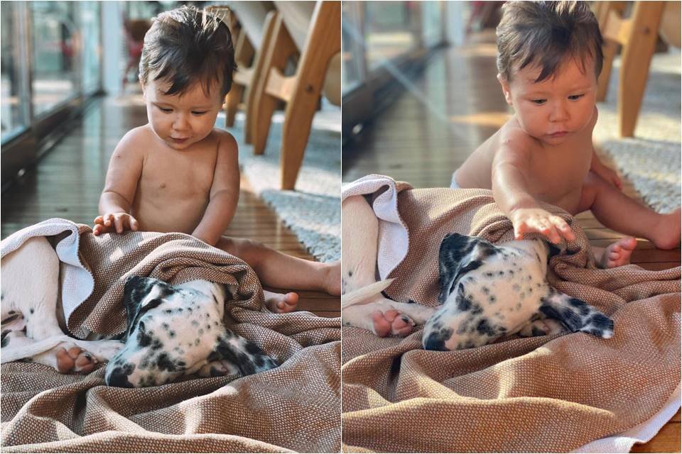 Dois Bebes Diz Bruno Gagliasso Em Foto De Zyan E Cachorro Adotado