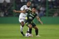Palmeiras x Defensa Y Justicia