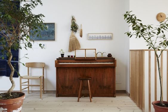Sala com piano e plantas