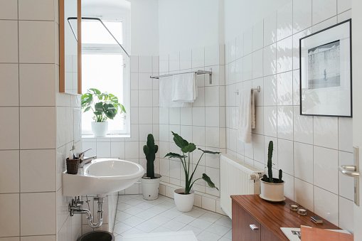 Banheiro com plantas