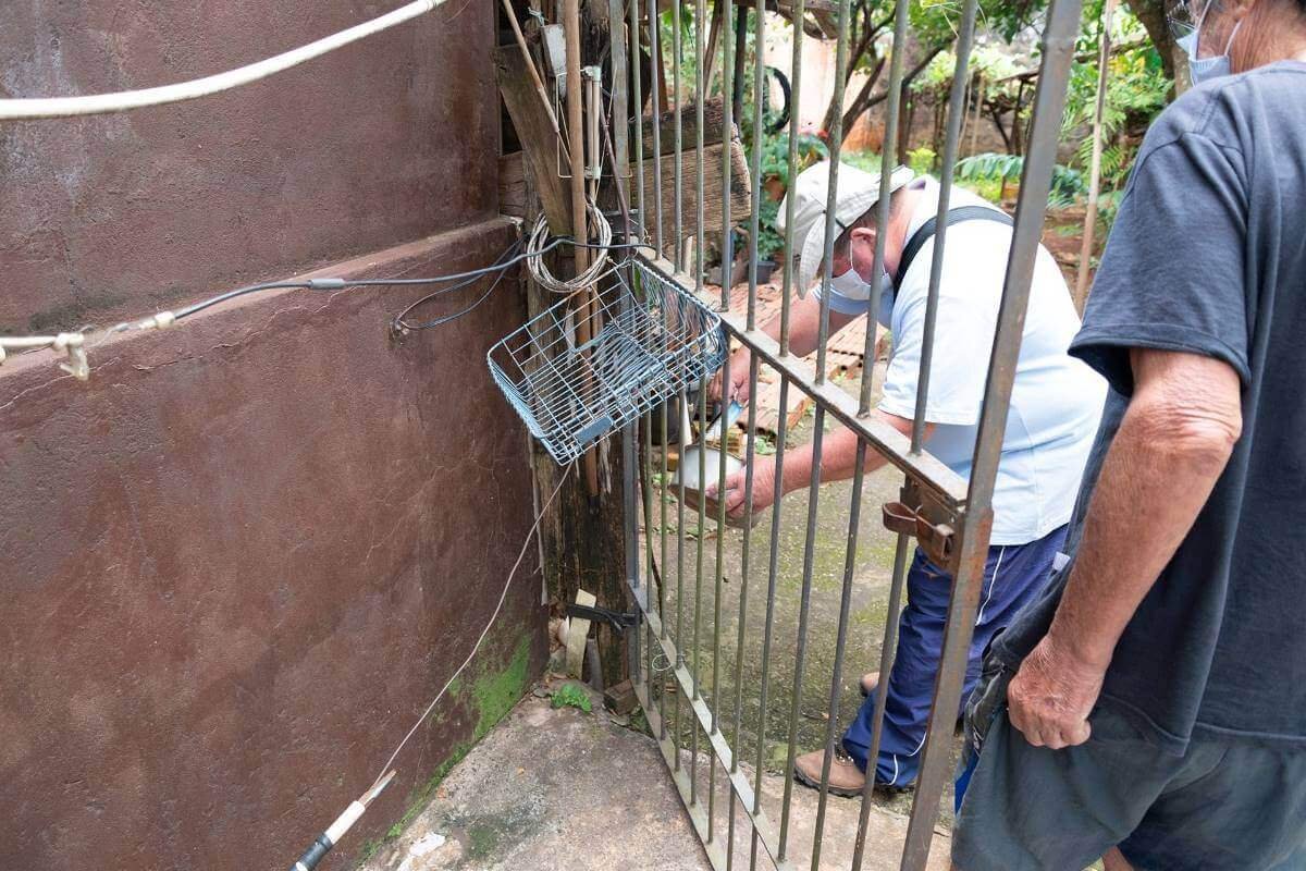 Cidade De Tatui Sp Enfrenta Surto De Dengue Em Meio A Pandemia