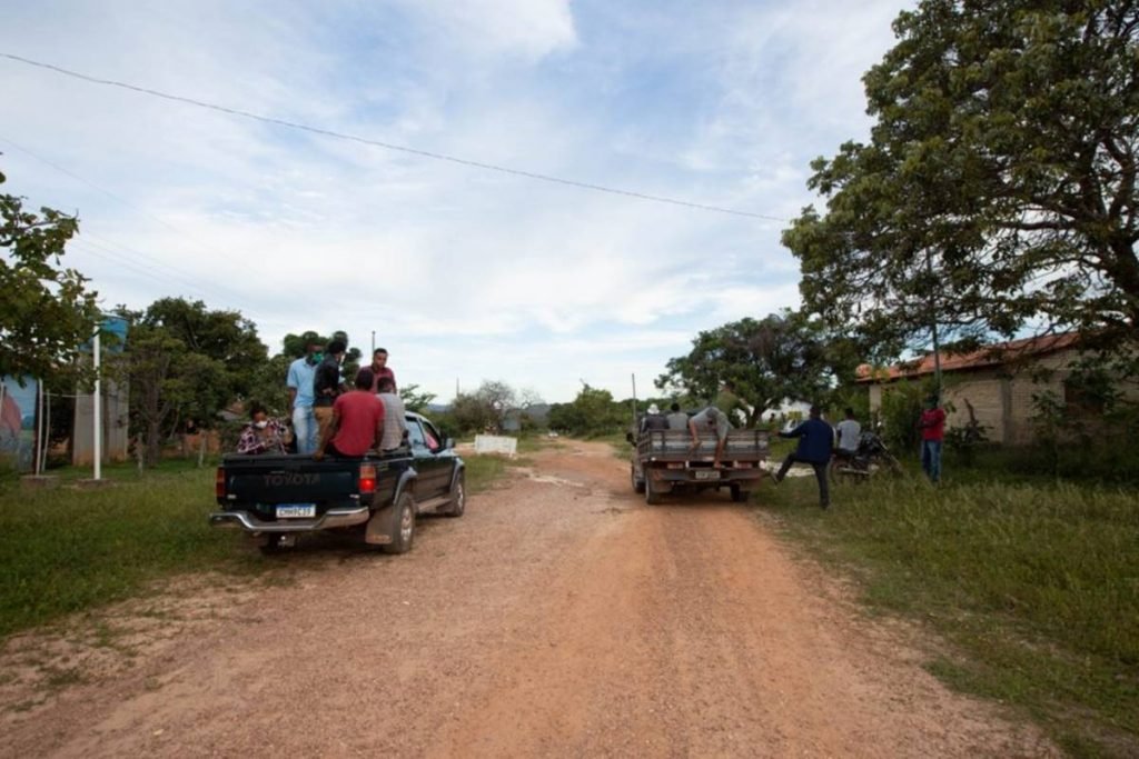 búfalo que integra grupo de animais que seria transportado para dentro do território kalunga em cavalcante, goiás