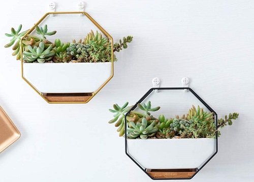 Casa verde: 10 lindos vasos de plantas de parede para colorir o lar |  Metrópoles