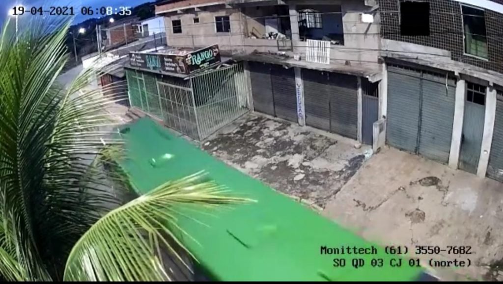 Cachorro é atropelado por ônibus