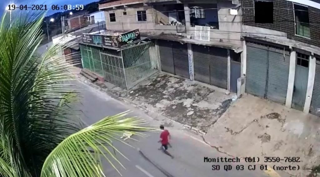 Cachorro é atropelado por ônibus