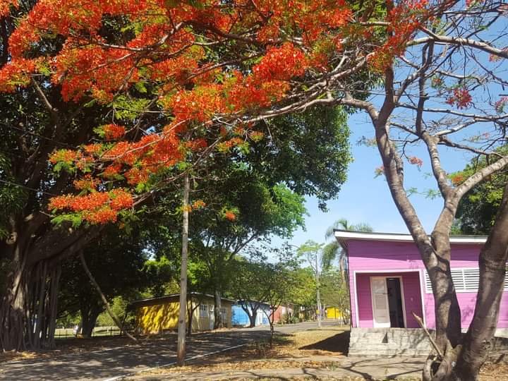 Museu Vivo da História Candanga