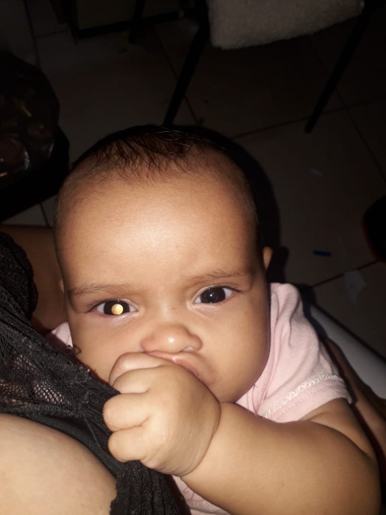 maitê louise