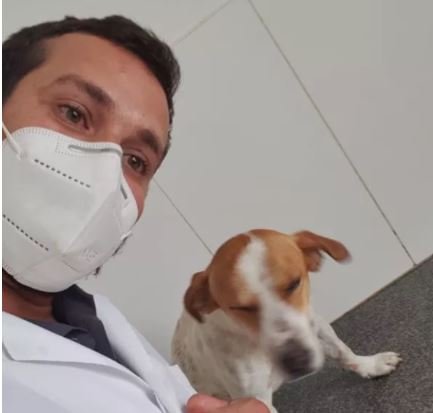 Fofinho