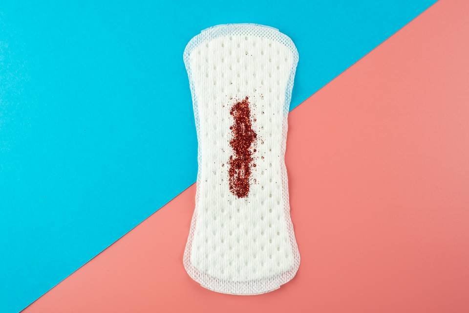 Tudo sobre menstruação: sintomas, TPM absorventes e dicas