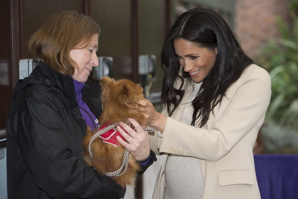 Meghan Markle e cachorro