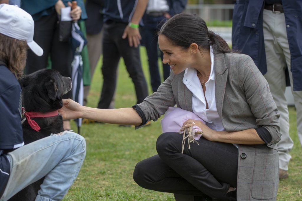 Meghan Markle e cachorro