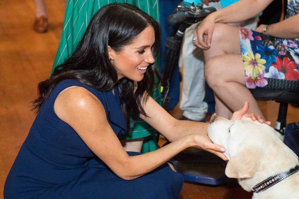 Meghan Markle e cachorro
