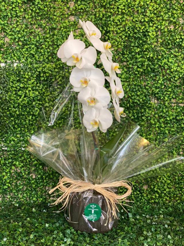 Presentes Magia das Flores