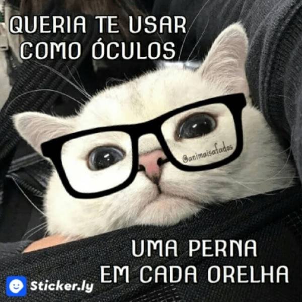 Sticker para transar