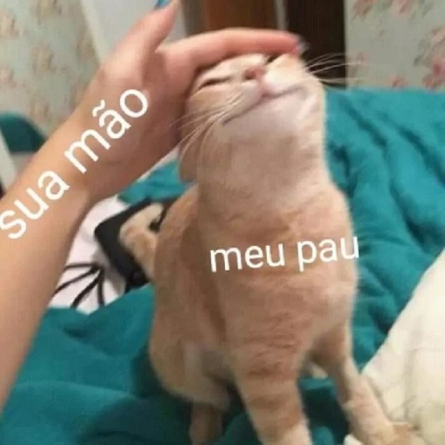 Sticker para transar