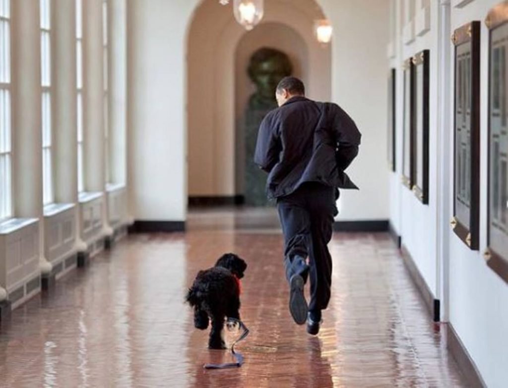 Barack Obama corre com cachorro